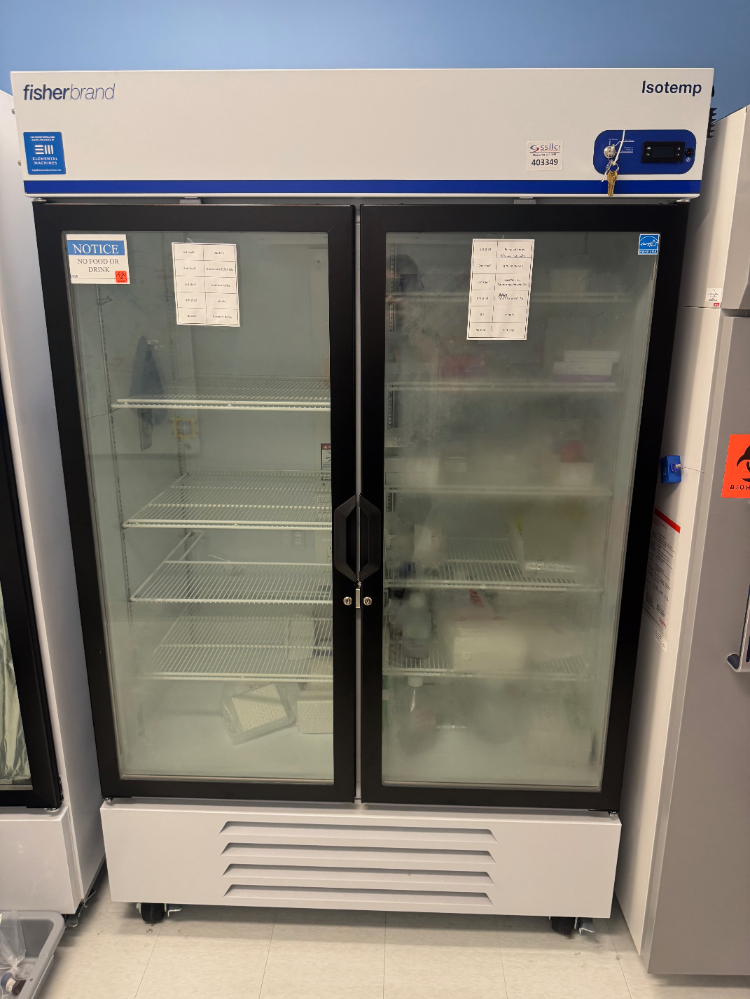 Image of Fisherbrand Isotemp Double Door Refrigerator